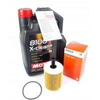 Motul 504 507 5w30 5l фильтр volkswagen passat b6 b7 2.0tdi