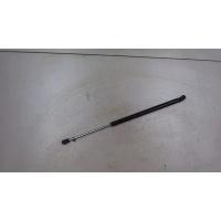 Амортизатор крышки багажника левая=правая Ford Focus 1 1998-2004 1999 1093705