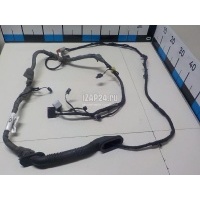 Проводка (коса) Land Rover Discovery V 2017 LR086641