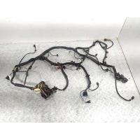 Проводка двигателя 1.9DCI , DELPHI. Renault Scenic 2001 7700415198