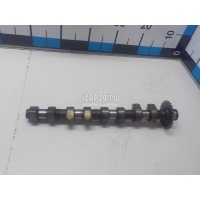 Распредвал впускной VAG A8 [4D] (1994 - 1998) 077109021BP