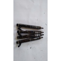 Renault clio ii 1.5 dci форсунки 8200365186