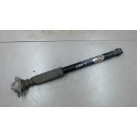 Амортизатор подвески зад. Audi A3 (8L1) 1996-2003 1998 1J0513025BL