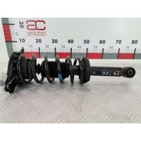 Стойка амортизатора заднего левого Nissan Primera P11 (-) 2000 562102F000