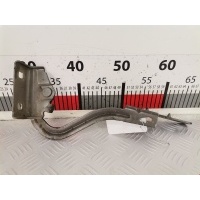 Петля капота правая Renault Modus (2004-2008) 2007 213689HES72,654009930R