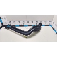 Горловина топливного бака Renault Kangoo (2003 - 2008) 7700313764