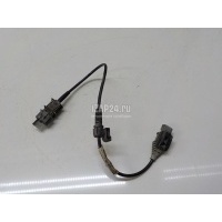 Проводка (коса) GM Signum (2003 - 2008) 13241192