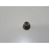 Гайка VAG Touareg (2002 - 2010) N10205802