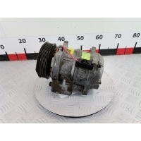 Компрессор кондиционера Renault Laguna 1 (1993-2000) 1998 5060118271,9171397