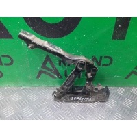 петля капота Kia Sorento 3 Prime UM 2014-2020 79110C5000