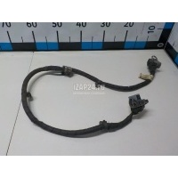Проводка (коса) Hyundai-Kia Equus (2009 - 2016) 597953M501