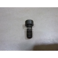 Болт маховика Mercedes Benz W246 B-klasse (2012 - 2018) 0119905104