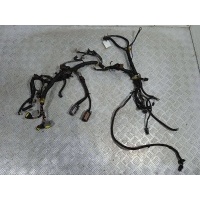 Проводка двигателя 1.3i 8V. A13SMS. Daewoo Lanos T100 1999