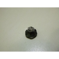 Гайка Nissan Almera (G15) (2013 - 2018) 2060200Q0A