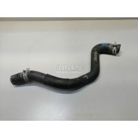 Патрубок радиатора Ford Kuga (2012 - 2019) GV6Z8260C
