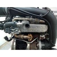 Радиатор EGR Volkswagen Golf 5 поколение (2004-2009) 2005 038131513
