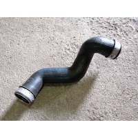 Патрубок интеркулера Volkswagen Passat B5 2003 3B0145834N