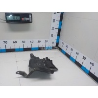 Пыльник (кузов наружные) Renault Sandero 2014 638309356R