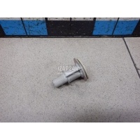 Патрон указателя поворота VAG Octavia (A4 1U-) (2000 - 2011) 1U0953123B