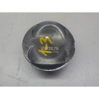 Поршень VAG A6 [C6,4F] (2004 - 2011) 06E107065CK