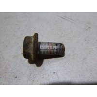 Болт Renault Megane II (2003 - 2009) 7703002714