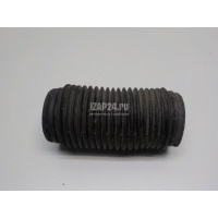 Пыльник переднего амортизатора BMW X5 E53 (2000 - 2007) 31321125878