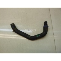 Шланг системы охлаждения Renault Megane I (1999 - 2004) 7700419839