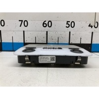 Плафон салонный BMW 3-serie E92/E93 (2006 - 2012) 61316945200