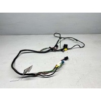 Проводка двери передней левой Mercedes C W203 2005 A2034402513, A2035403705