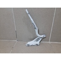 Петля капота правая Skoda Rapid 1 5JA823302A