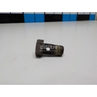 Болт полый Volvo V40/V40 Cross Country (2012 - 2019) 30670561