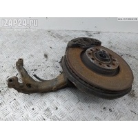 Кулак (корпус ступицы) передний левый Volkswagen Passat B5+ (GP) 2004 8D0407253C