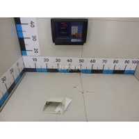 Корпус указателя поворота правый DT Spare Parts TRUCK FM (2002 - 2010) 224483