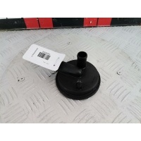 Сапун Volkswagen Golf 4 (1997-2004) 1998 038129101A