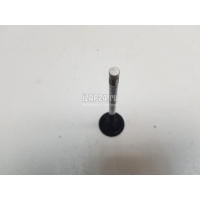 Клапан выпускной VAG A6 [C6,4F] (2004 - 2011) 06D109611H