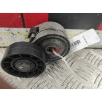 Натяжитель ремня генератора Volvo V50 1 (2004-2010) 2006 ,30684427