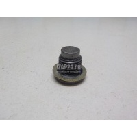 Пробка масляного поддона Renault 106 I (1991 - 1996) 7703075348