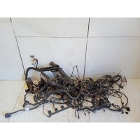 Проводка подкапотная Volkswagen Passat B6 2008 3C0971051F
