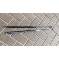 Амортизатор крышки багажника (3-5 двери) Renault Laguna 1996 7700842152