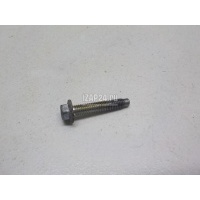 Болт клапанной крышки Renault Megane II (2003 - 2009) 7703002637