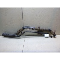 Горловина топливного бака Nissan Pathfinder (R51) (2005 - 2014) 17221EA510