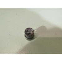 Гайка выпускного коллектора VAG Golf Plus (2005 - 2014) WHT004982