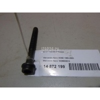 Болт головки блока Mercedes Benz W210 E-Klasse (2000 - 2002) 1029900810