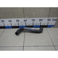 Патрубок радиатора Renault Scenic II (2003 - 2009) 8200233966