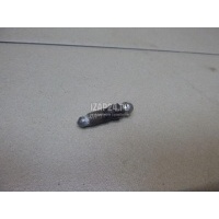 Штуцер прокачки тормозов Nissan Pajero/Montero IV (V8, V9) (2007 - 2021) 411288J100