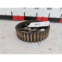 Шестерня распредвала Renault Laguna 2 (-) 2001 ,7700111951
