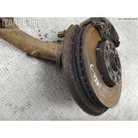 Кулак (корпус ступицы) передний левый Volkswagen Passat B5+ (GP) 2003 8D0407253C