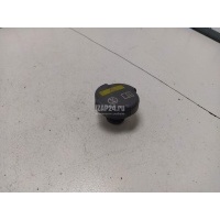 Крышка расширительного бачка BMW Z8 E52 (2000 - 2003) 17117639022