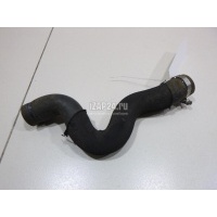 Патрубок радиатора Citroen-Peugeot C4 Grand Picasso (2006 - 2014) 1343KE