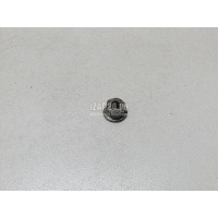 Гайка VAG Passat [B7] (2011 - 2015) N10286111